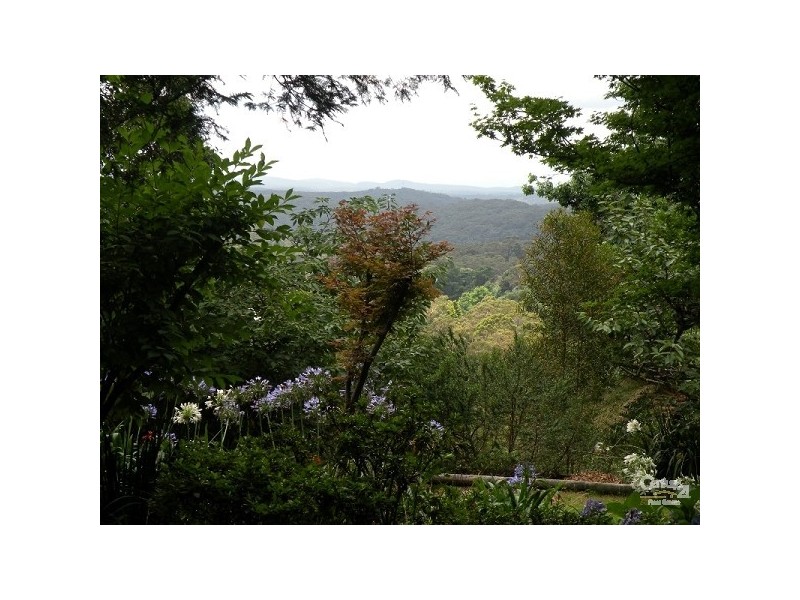 Hazelbrook NSW 2779