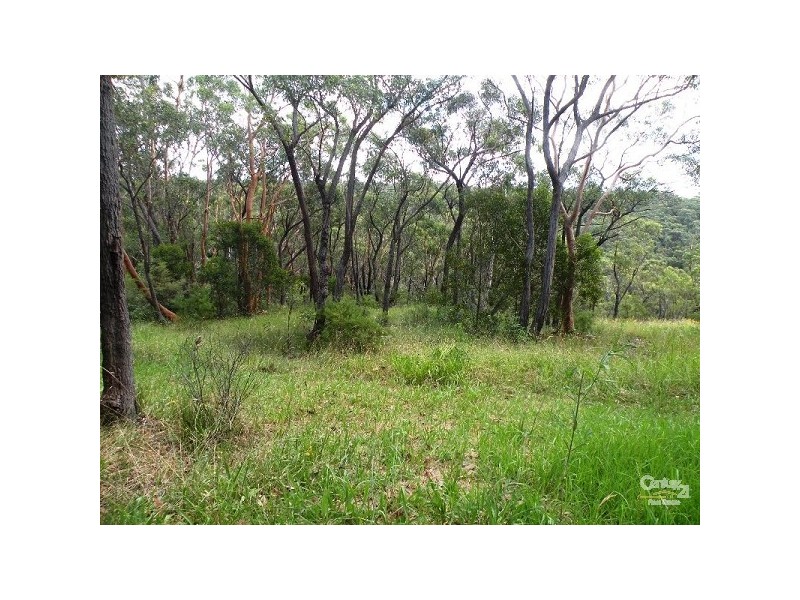 5B Riches Avenue, Woodford NSW 2778