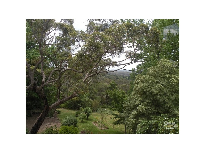 221 Great Western Highway, Hazelbrook NSW 2779