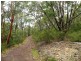 11 Dobson Dorking Place, Faulconbridge NSW 2776