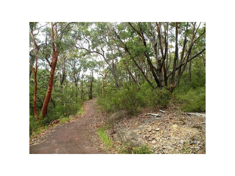 11 Dobson Dorking Place, Faulconbridge NSW 2776