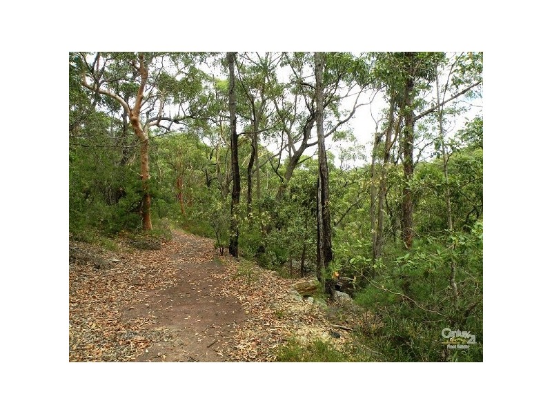 11 Dobson Dorking Place, Faulconbridge NSW 2776