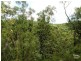 11 Dobson Dorking Place, Faulconbridge NSW 2776
