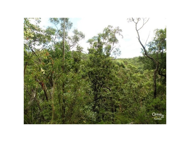 11 Dobson Dorking Place, Faulconbridge NSW 2776