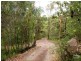 11 Dobson Dorking Place, Faulconbridge NSW 2776