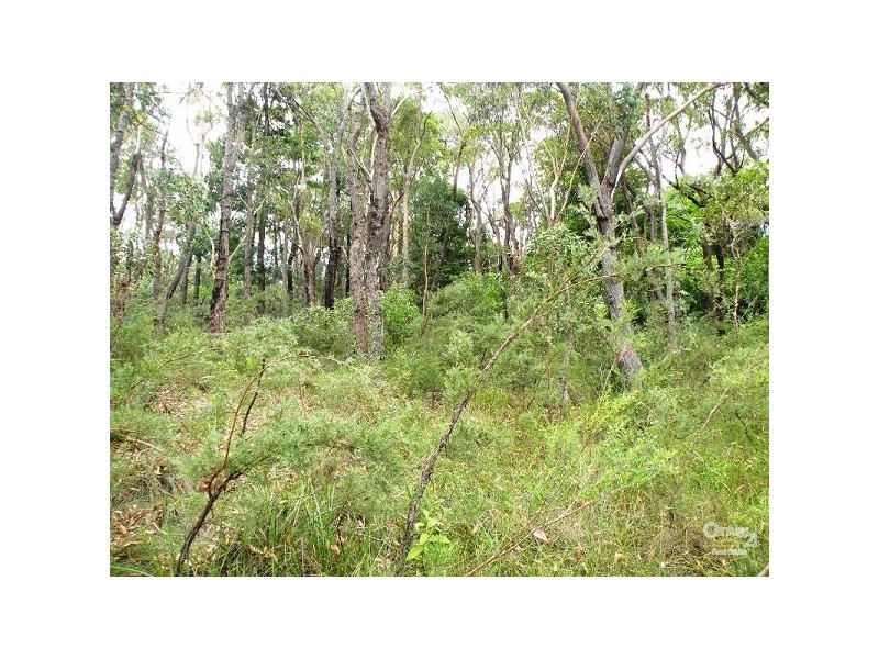 31 Lee Street, Lawson NSW 2783