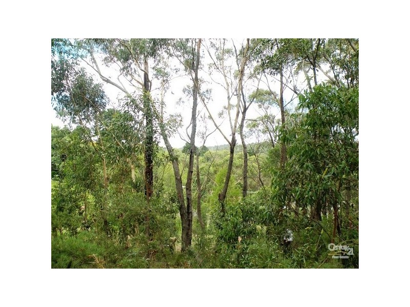 31 Lee Street, Lawson NSW 2783