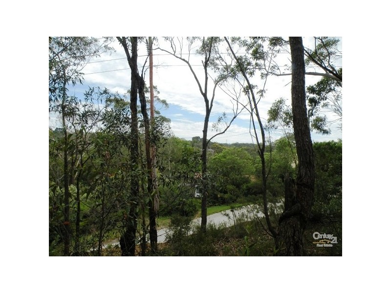 31 Lee Street, Lawson NSW 2783