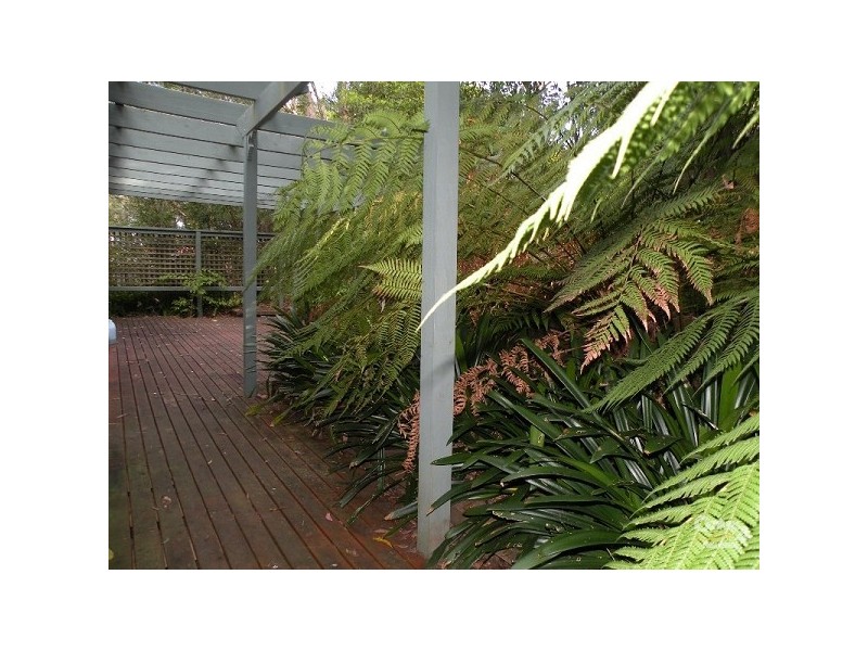 15 Wideview Avenue, Woodford NSW 2778