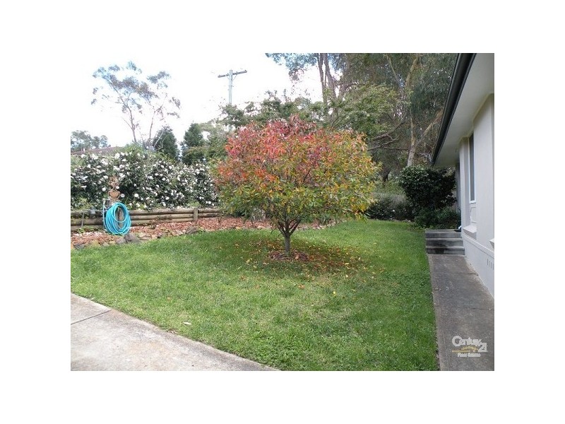 128 Hall Parade, Hazelbrook NSW 2779