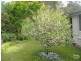 Hazelbrook NSW 2779
