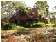 Hazelbrook NSW 2779