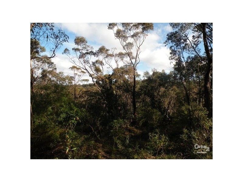 58 Henry Street, Lawson NSW 2783