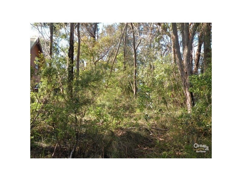 58 Henry Street, Lawson NSW 2783