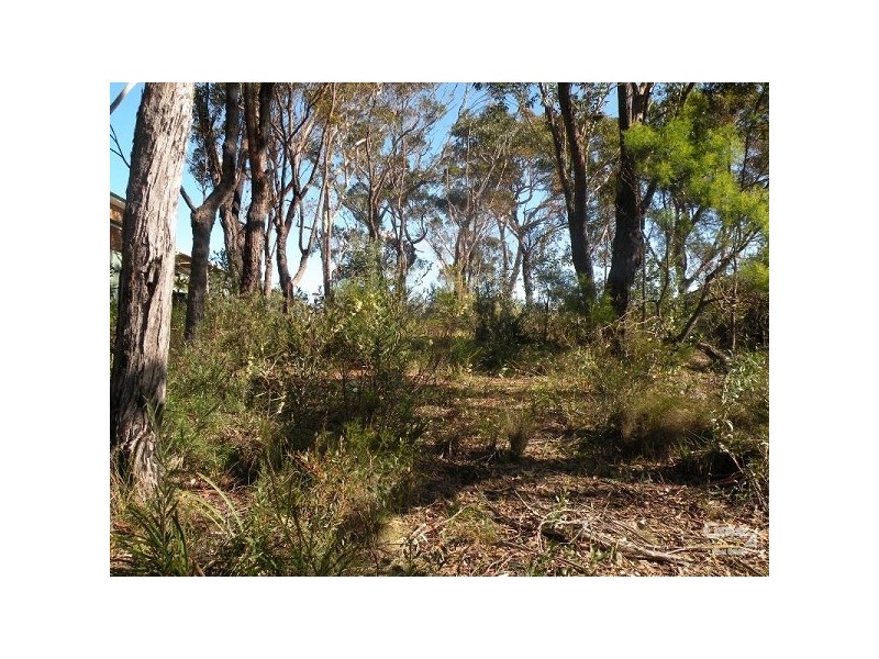 52 Queens Road, Lawson NSW 2783