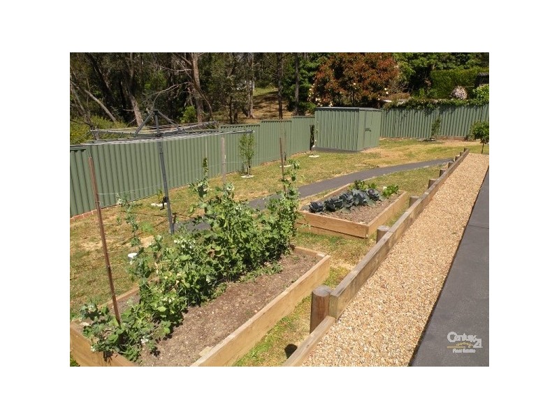 17 Mount View Avenue, Hazelbrook NSW 2779