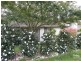 128 Hall Parade, Hazelbrook NSW 2779