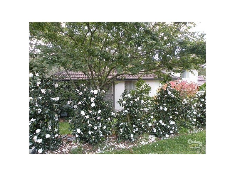 128 Hall Parade, Hazelbrook NSW 2779