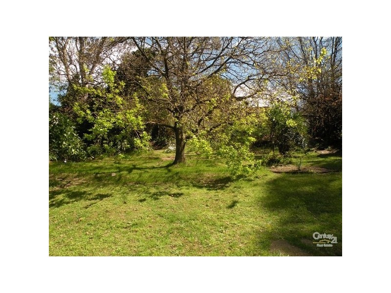 23 Birdwood Avenue, Hazelbrook NSW 2779