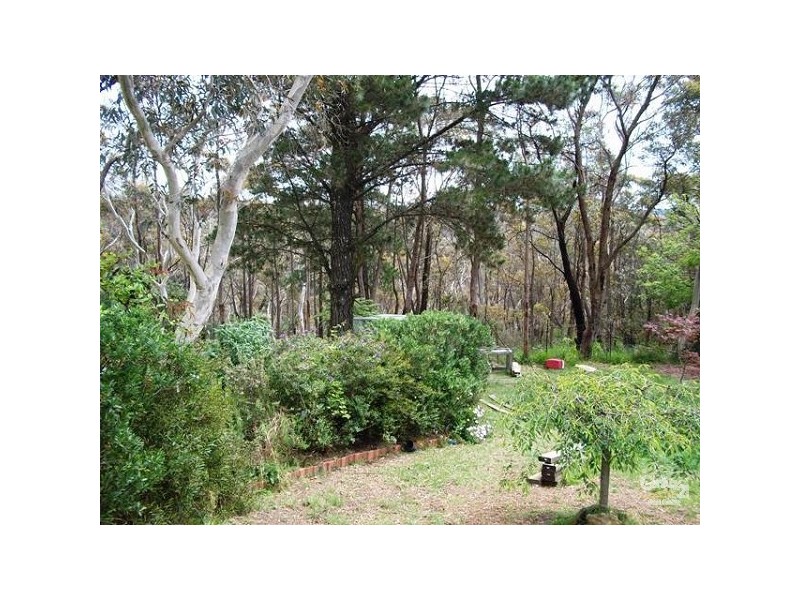 53 Hay Street, Bullaburra NSW 2784