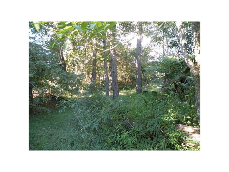40 BIRDWOOD PDE, Hazelbrook NSW 2779