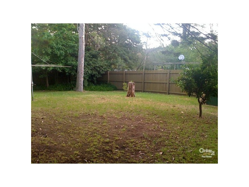 10 Birdwood Parade, Hazelbrook NSW 2779