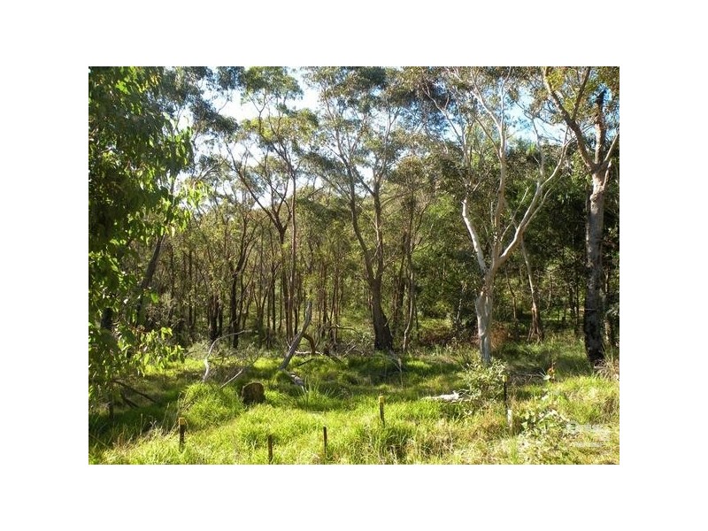 40 Birdwood Parade, Hazelbrook NSW 2779