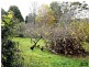 Hazelbrook NSW 2779