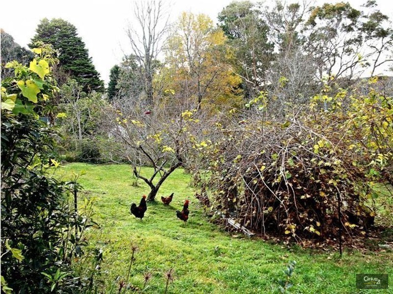 Hazelbrook NSW 2779