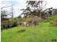 Hazelbrook NSW 2779
