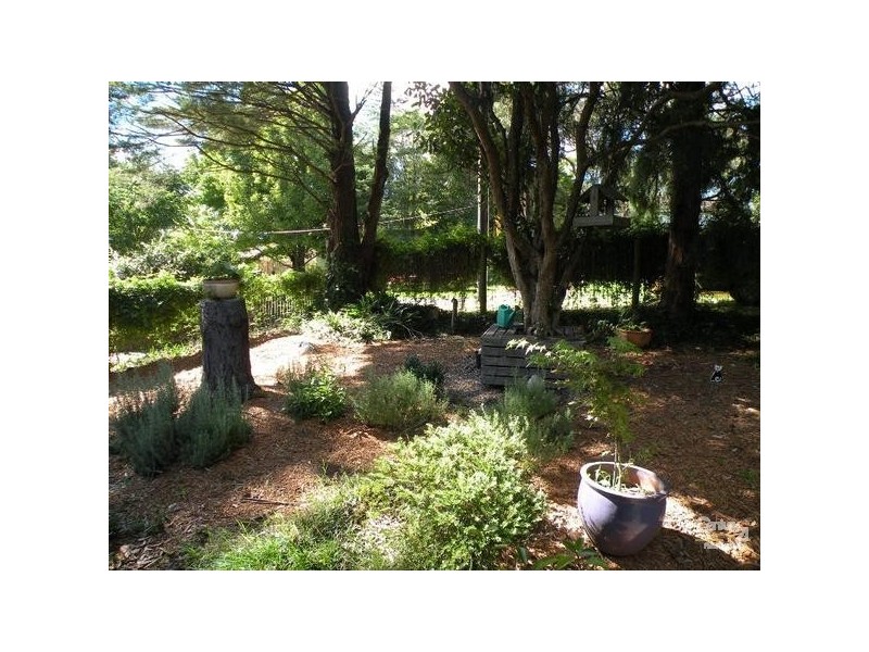 4 Hazel Avenue, Hazelbrook NSW 2779