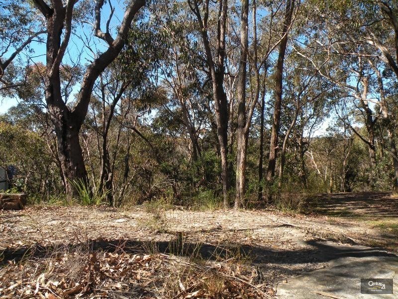 68 Pimelea Drive, Woodford NSW 2778