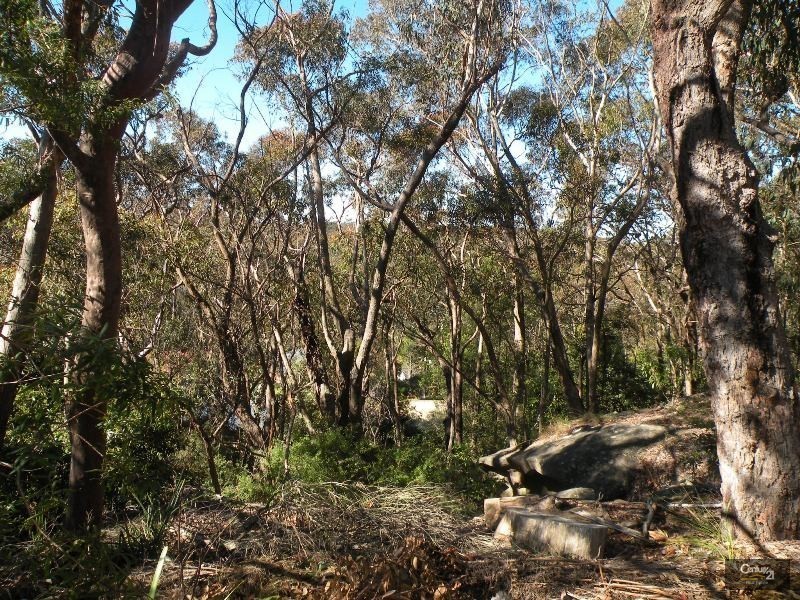 68 Pimelea Drive, Woodford NSW 2778