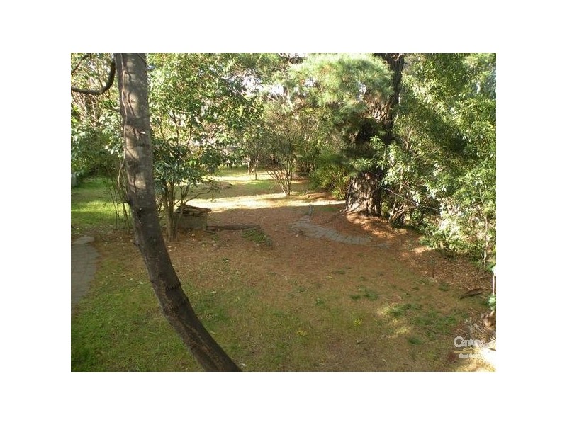 60 HONOUR AVENUE, Lawson NSW 2783