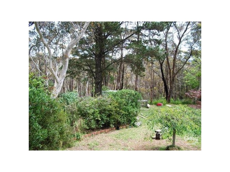 53 Hay Street, Bullaburra NSW 2784