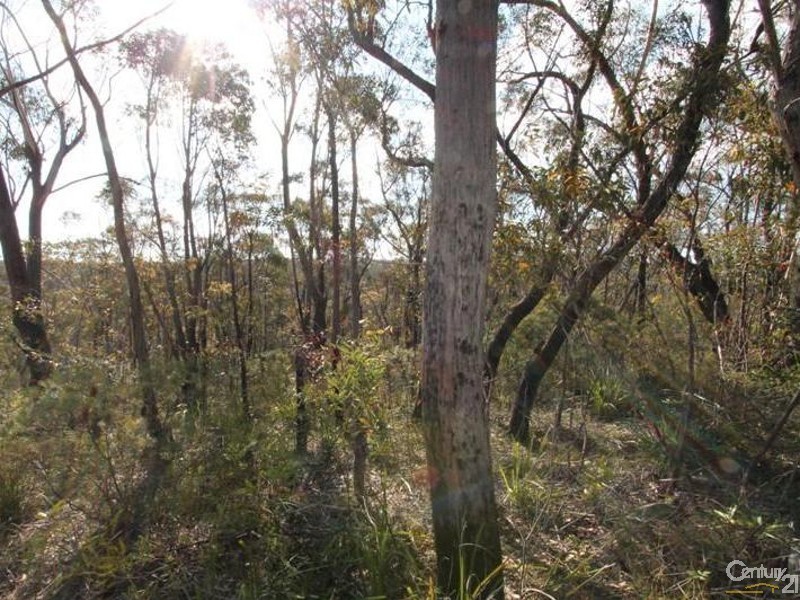43 Terrace Falls Road, Hazelbrook NSW 2779