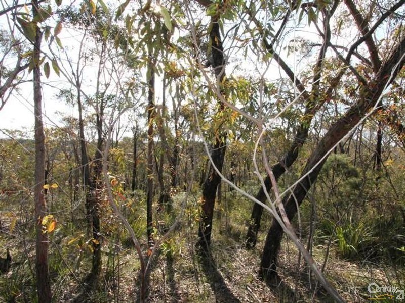 43 Terrace Falls Road, Hazelbrook NSW 2779