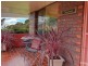 15 Talbot Road, Hazelbrook NSW 2779