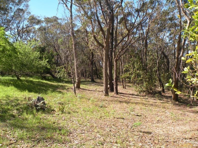 49 Ridge Street, Lawson NSW 2783