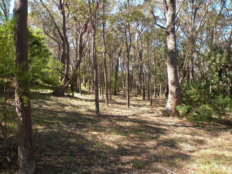 49 Ridge Street, Lawson NSW 2783