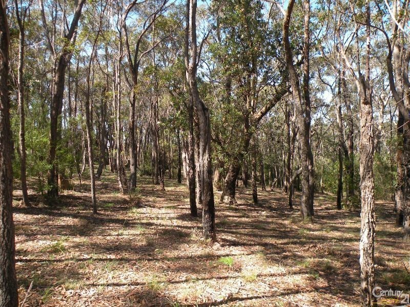 49 Ridge Street, Lawson NSW 2783