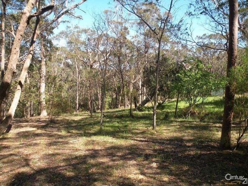 49 Ridge Street, Lawson NSW 2783