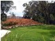 8 Caratel Avenue, Hazelbrook NSW 2779