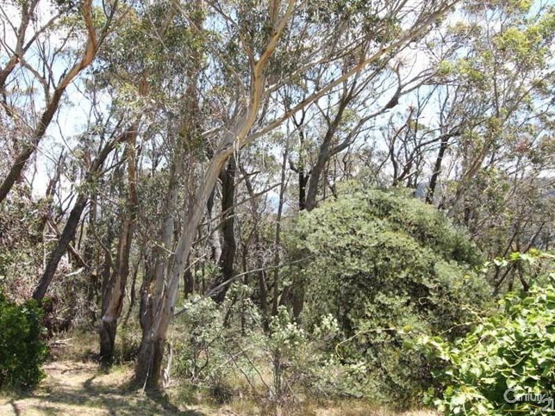 67 Farnells Road, Katoomba NSW 2780