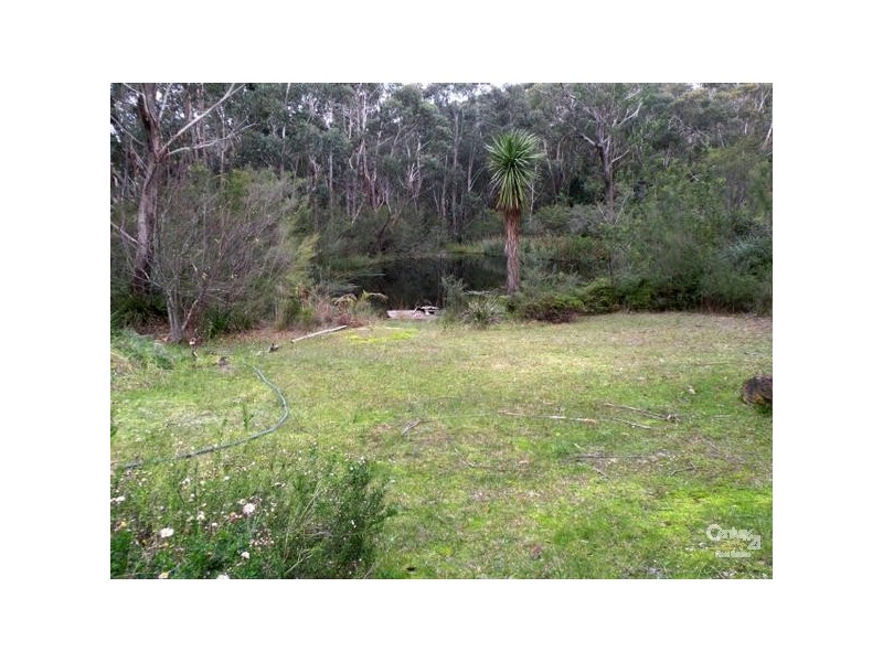 17 Edwin Road, Bullaburra NSW 2784