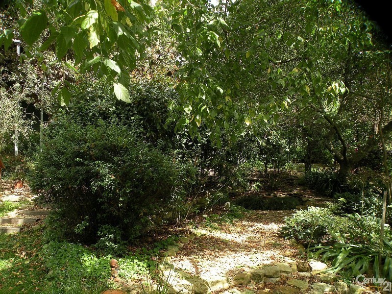 118 Winbourne Road, Hazelbrook NSW 2779