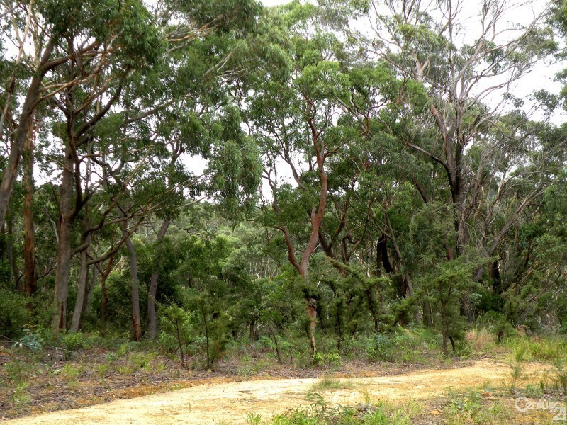 34 Booth Road, Bullaburra NSW 2784