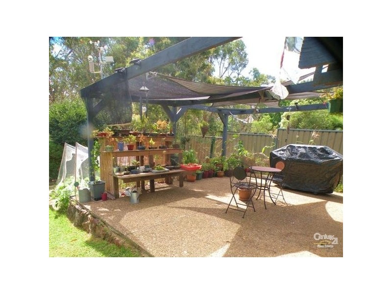 172 Hall Parade, Hazelbrook NSW 2779