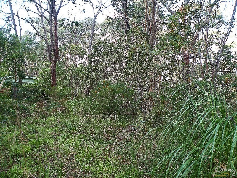 96 Boronia Road, Bullaburra NSW 2784