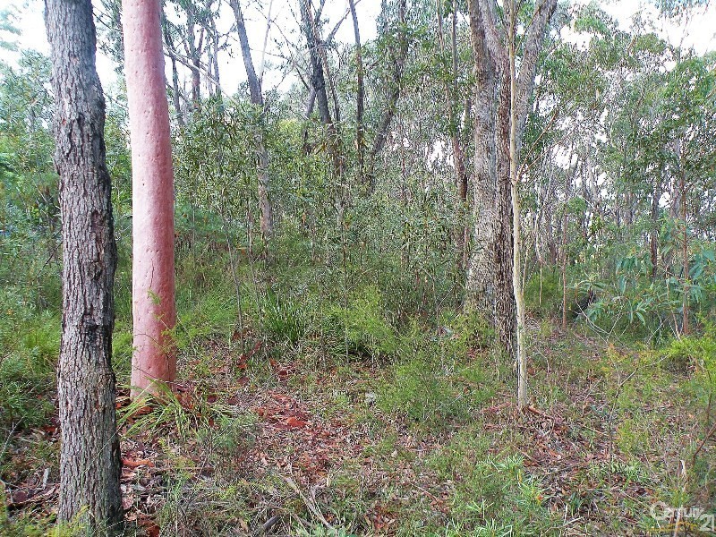 96 Boronia Road, Bullaburra NSW 2784